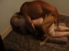 This extraordinary hardcore brute porn footage features a one time shy college slut fucking a k9